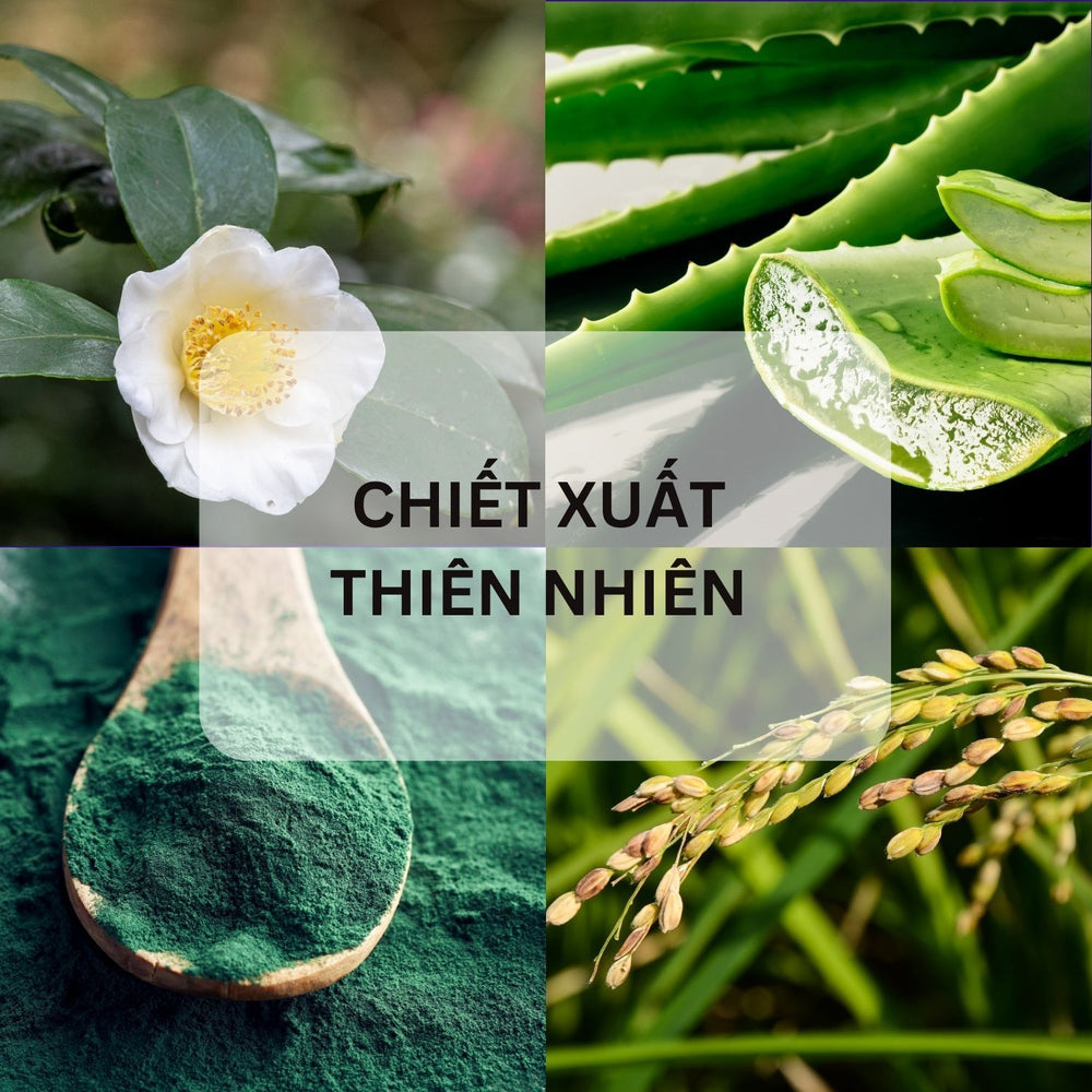 
                  
                    Kem dưỡng ẩm chống lão hoá Creme24 - Nhật Thảo
                  
                